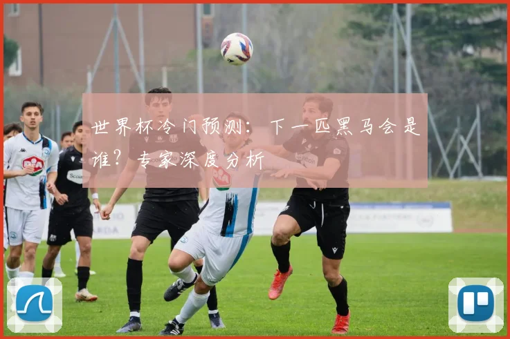 世界杯冷门预测：下一匹黑马会是谁？专家深度分析
