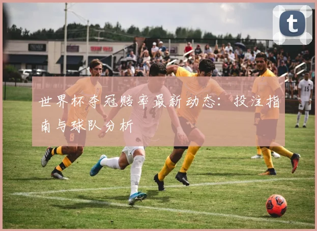世界杯夺冠赔率最新动态：投注指南与球队分析